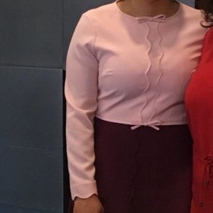 Ted baker pink dress fitted